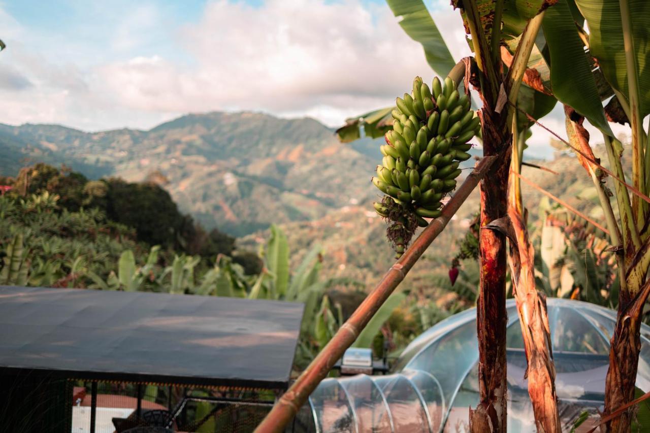 Villa Chami Glamping Manizales Esterno foto