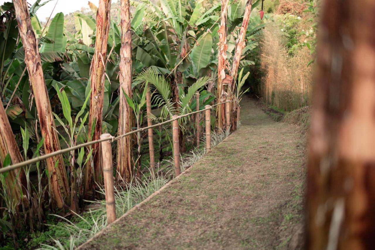 Villa Chami Glamping Manizales Esterno foto
