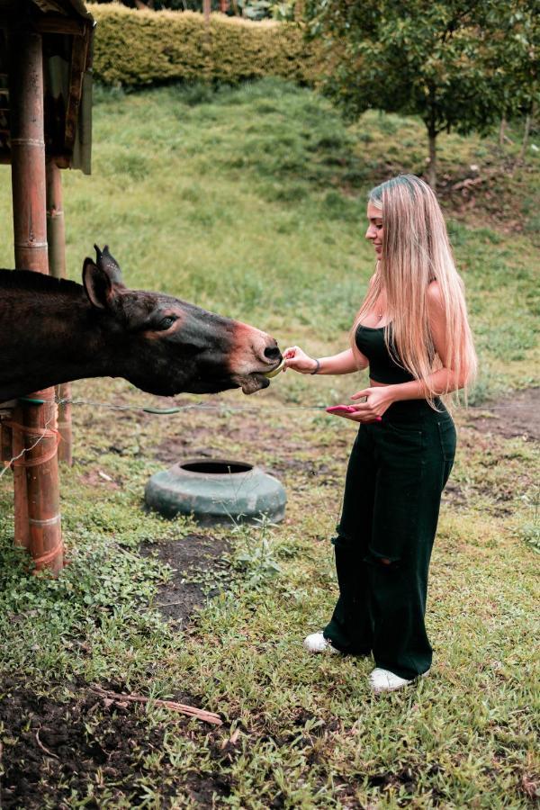 Villa Chami Glamping Manizales Esterno foto