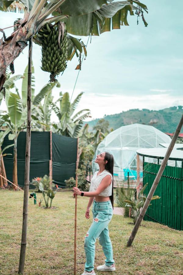 Villa Chami Glamping Manizales Esterno foto
