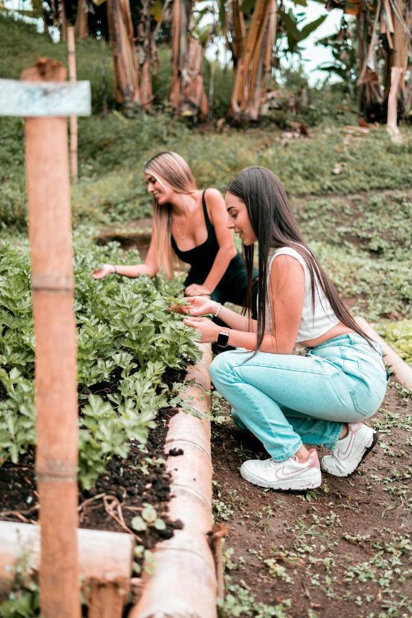 Villa Chami Glamping Manizales Esterno foto