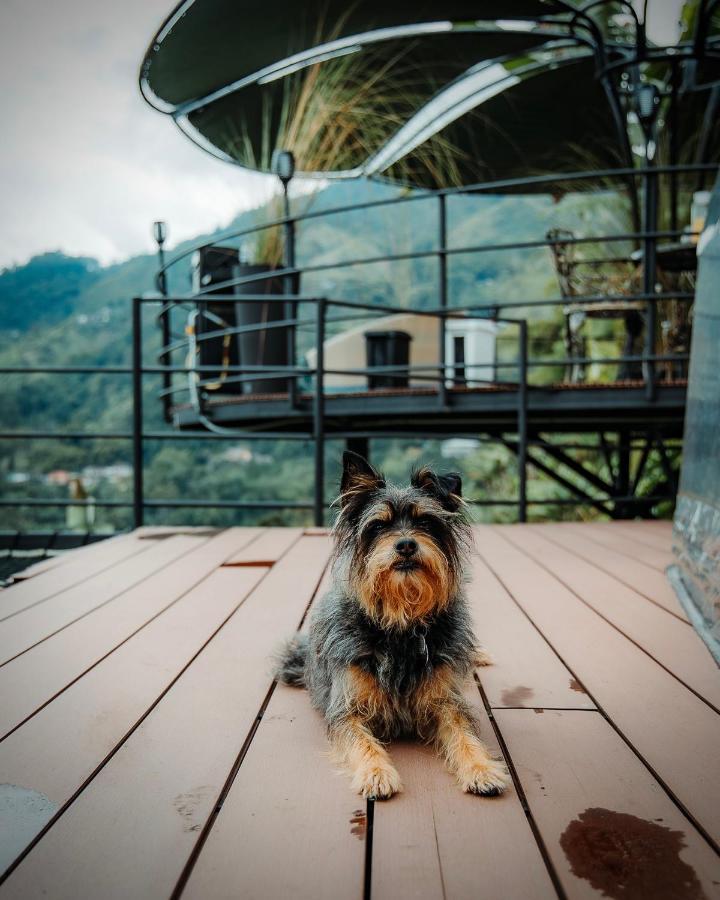 Villa Chami Glamping Manizales Esterno foto
