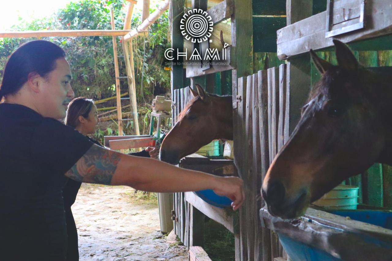 Villa Chami Glamping Manizales Esterno foto